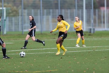 Bild 110 - F FSC Kaltenkirchen - SV Frisia 03 Risum-Lindholm : Ergebnis: 0:7